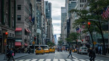 new york city, usa, vs, rattenplaag, ratten