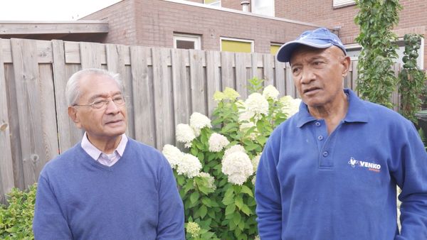 Bromet over de schutting