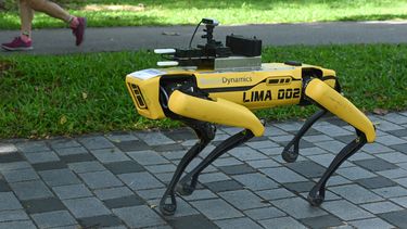 Singapore zet robothond in om social distancing te handhaven 