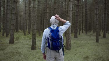 Waarom sommige mensen altijd verdwalen en anderen nooit: het heeft zelfs een naam