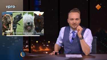 Avondshow met Arjen Lubach over gevaarlijke honden
