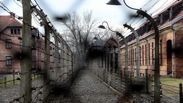 Auschwitz Holocaust