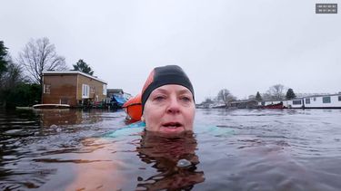 koudwaterzwemmers Kouwe koppen buitenzwemmen