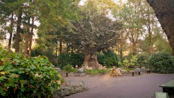 Een foto van het Sprookjesbos in de Efteling