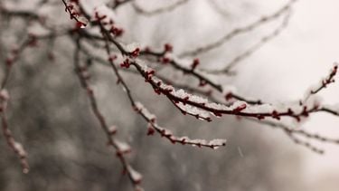 Het is koud en glad: code oranje in sommige delen van het land