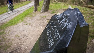 Vernield monument Nicky Verstappen hersteld