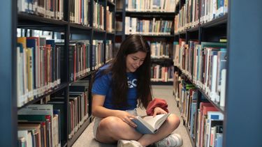 bibliotheek, cijfers, CBS, Nederland, toename