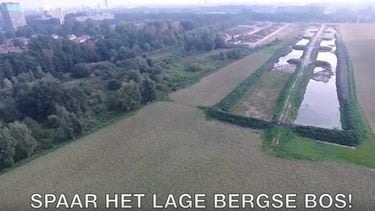 Een shot uit het filmpje van GroenLinks Rotterdam / Youtube