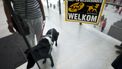 'Noodpakket heeft te weinig aandacht voor gehandicaptenzorg' 