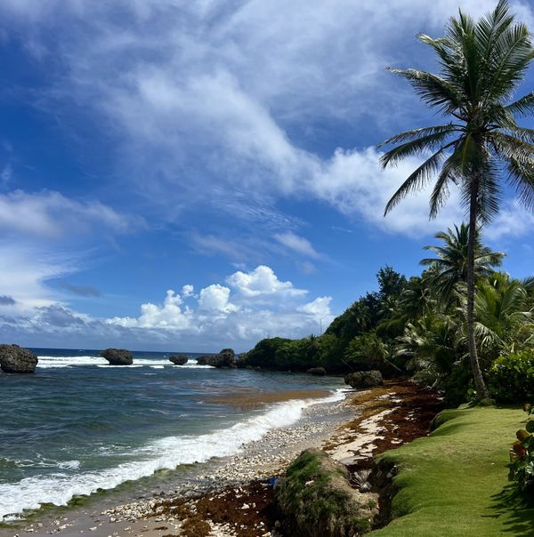 Vakantie naar de Caraïben? Kies dan Barbados tips