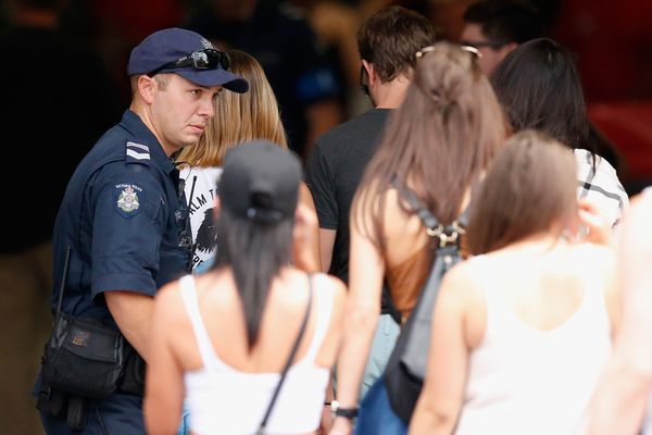 Op deze foto zie je een politiehonden tijdens een festival in Australie ruiken aan festivalgangers.