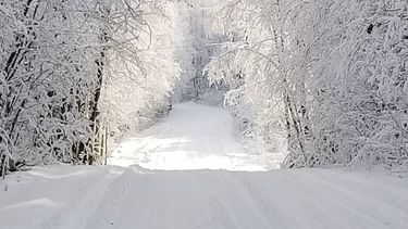 Nederlanders In Het Buitenland Over Echte Sneeuw