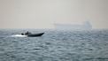 (FILES) A motorboat cruises along the shore off the town of Al Jeer on the Strait of Hormuz in the northern emirate of Ras Al Khaimah, with a tanker seen in the background, on February 25, 2026.
 The US president sent a peace plan to Iran as he voiced optimism on March 25, 2026 at ending nearly a month of warfare, with Tehran announcing that it will let 