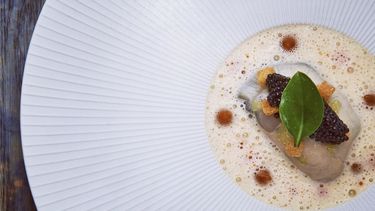 Eten van Beluga Loves You.