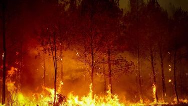 A forest fire rages in Saint-Jean-d'Illac, some 30km from Bordeaux, on July 26, 2026 as a wildfire has been ravaging the forest north of the Arcachon Basin (Gironde). The 220,000 people evacuated due to the massive wildfire in France's Gironde region will not be able to return home 