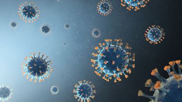 Dodental coronavirus stijgt met 145