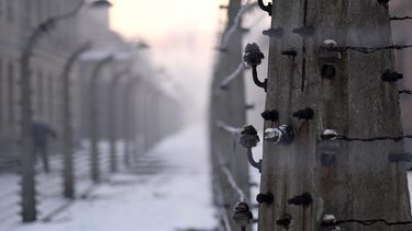 Belg die Holocaust ontkende moet Auschwitz bezoeken