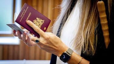 paspoort, paspoortcontrole, vliegen, vakantie