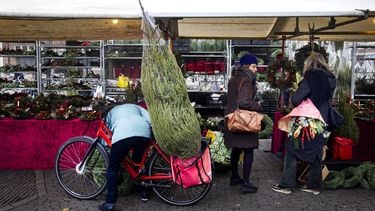 kerstboom mooi houden kerstboomkweker