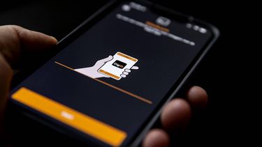 ILLUSTRATIE - Inloggen bij MijnOverheid met een DigiD om post van de overheid digitaal te kunnen ontvangen. ANP KOEN VAN WEEL