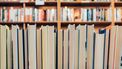 Boekenreeks 'De zeven zussen' breekt records