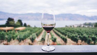 ijn rode wijn witte wijn reizen