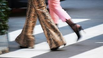 zara broek