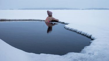 koud water gezondheid zwemmen onderzoek wetenschap