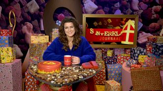Sinterklaasjuournaal Merel Westrik