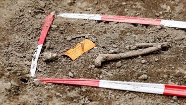 Leidse studenten vinden skeletten uit zevende eeuw.  / ANP