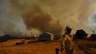 Deel van Australische hoofdstad ontruimd vanwege nieuwe bosbrand