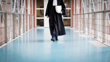 pro-Deoadvocaat pro-Deoadvocaten tekort uurtarief zzp uurtarief freelance