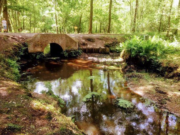 wandelen Oisterwijkse vennen
