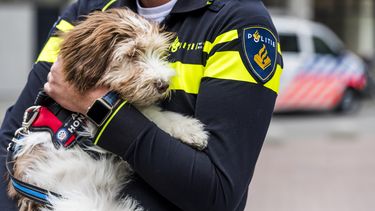 Politie op zoek naar kinderen doodgereden hond
