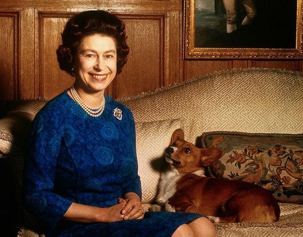 Corgi’s van koningin Elizabeth kregen ‘à-la-cartemenu’