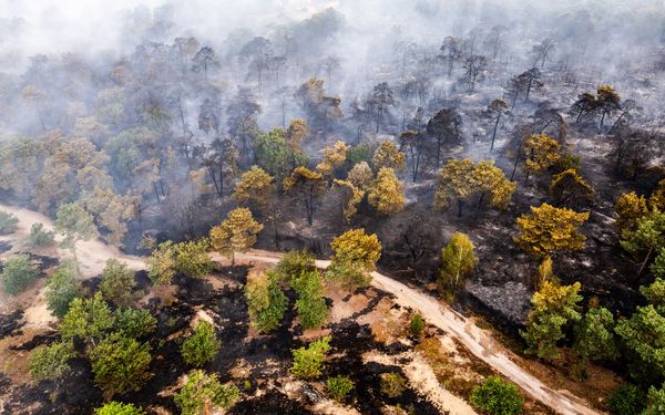 natuurbranden natuurbrand Limburg
