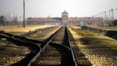 Webshop verkoopt rokjes met afbeeldingen Auschwitz