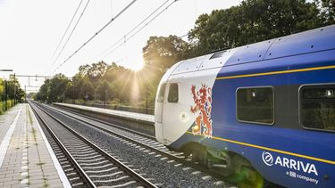 VOERENDAAL - Een trein van Arriva op het spoor tussen Heerlen en Valkenburg waar ProRail een dassenburcht heeft verwijderd. De burchten bevonden zich in het spoortalud en dreigden het spoor instabiel te maken. Door de werkzaamheden reden er bijna een maand geen treinen op het traject. ANP MARCEL VAN HOORN