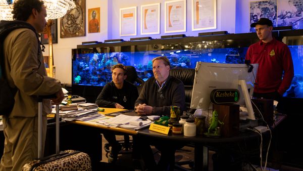 Augurk-aan-Zee augurken Kesbeke