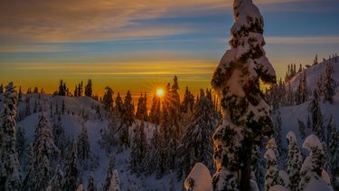 Mount Seymour, Canada, hike, Nederlander, wandelaar, reddingsteam, reddingswerker, sneeuw, bos