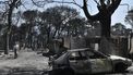 Griekenland vuurzee natuurbranden