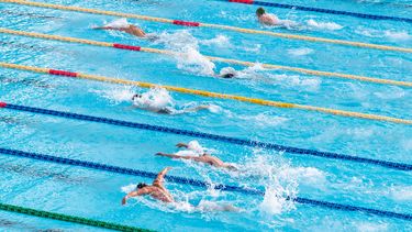 Zwembaden behoren ook tot de sportaanbieders.