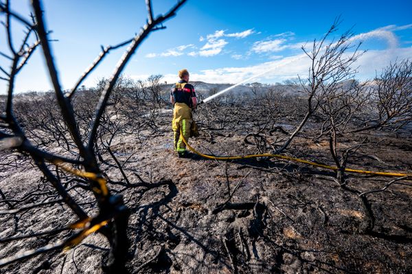 natuurbrand natuurbranden Wassenaar