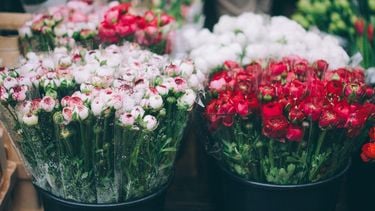 Mama gaat op date: 'Hij verraste met bloemen voor mij én mijn dochter (5)'