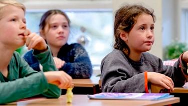 kinderen onderwijs traditioneel montessori school fouten neurowetenschapper