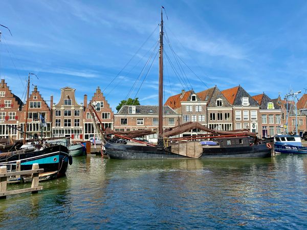 Hoorn haven hondenbelasting