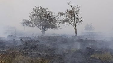 This photograph shows trees amid smoke billowing from a scorched area during a wildfire in the Hautes Fagnes (High Fens) nature reserve in Jalhay on August 15, 2026. Residents began evacuating from two villages in eastern Belgium on August 15, 2026 as firefighters, backed by water bombers and helicopters from across Europe, battled one of the biggest wildfires in the country's history. Reinforcements from across the country were fighting the blaze which broke out on August 14, 2026 in the High Fens (Hautes Fagnes) natural park, a vast wood- and heathland popular with hikers near the German border, and quickly expanded.

LAURENT CAVENATI / Belga / AFP