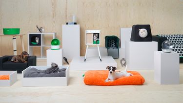 Ikea lanceert honden- en kattenlijn