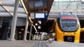 UTRECHT - Een duif op een leeg perron op station Utrecht Centraal tijdens een staking van NS-personeel, dat staakt voor meer loon. De staking beslaat het gebied rond Utrecht, een belangrijke spil in het spoornet waardoor er in het hele land geen treinverkeer mogelijk is. ANP JEFFREY GROENEWEG