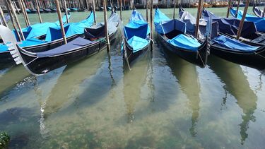 Burgemeester van Venetië mist toeristen: 'venite a Venezia'